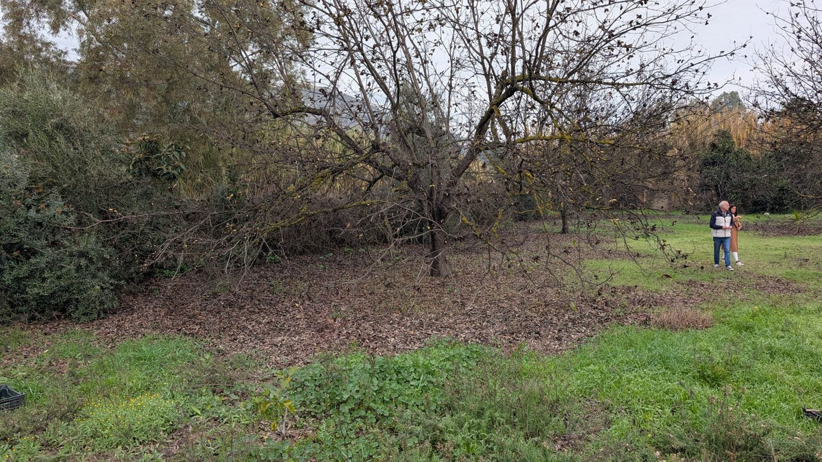Finca en venta en Alhaurin El Grande
