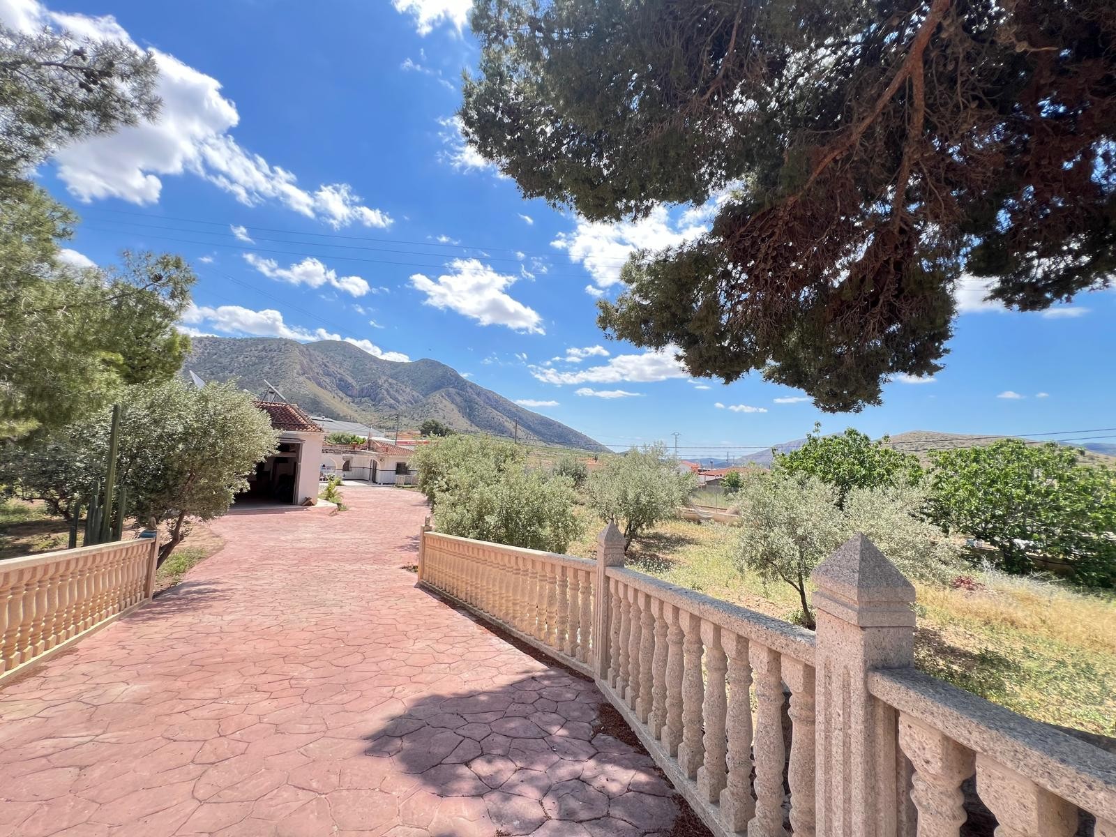 Casa de Campo en venta en Algueña