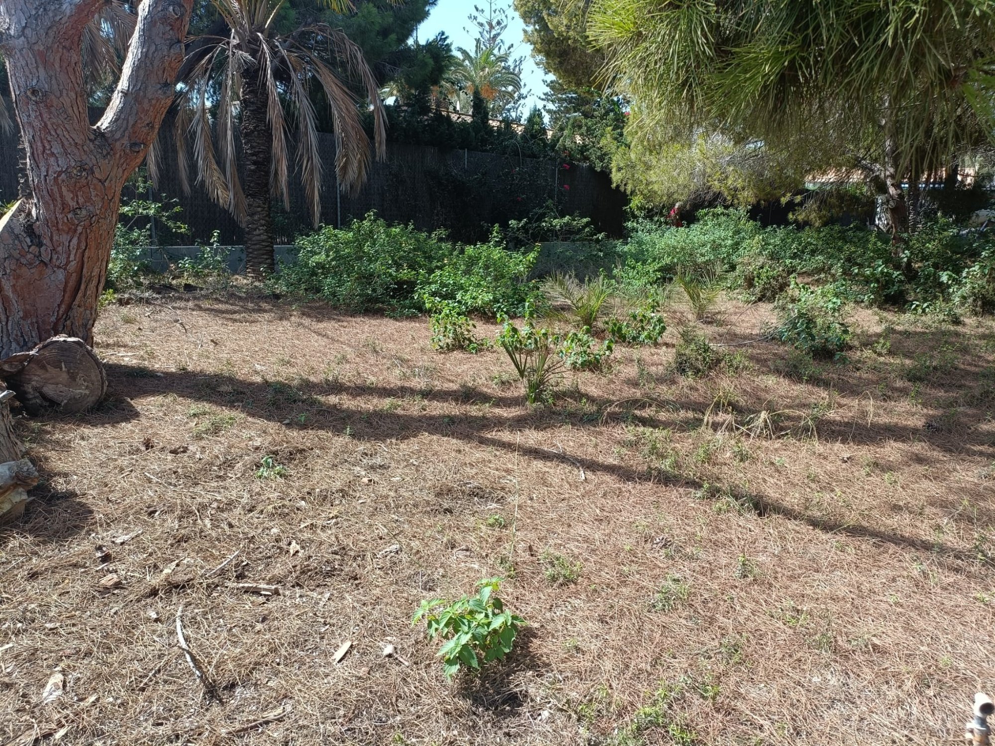 Finca for sale in Cabo Roig, Alicante, Spain
