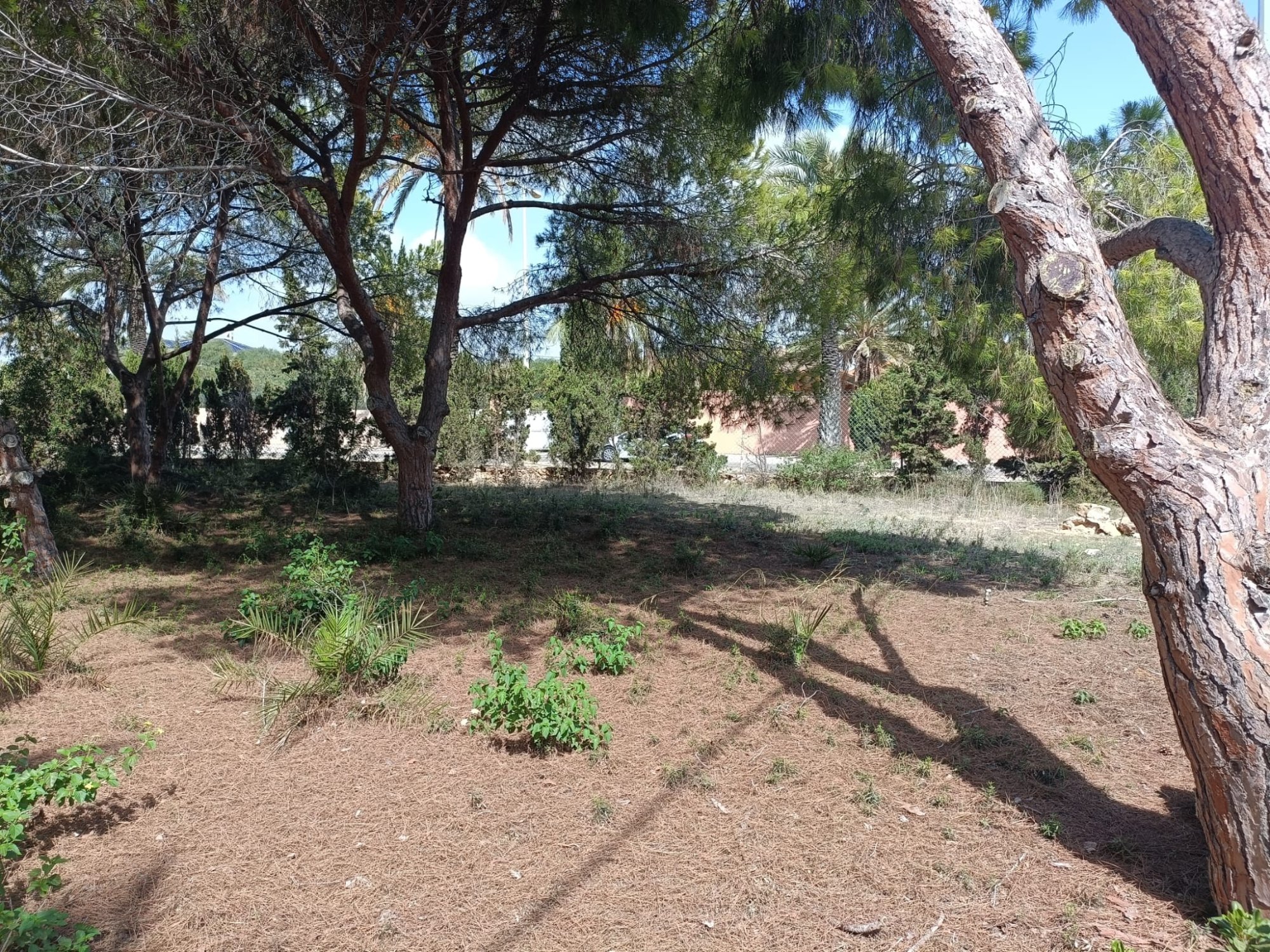 Finca for sale in Cabo Roig, Alicante, Spain