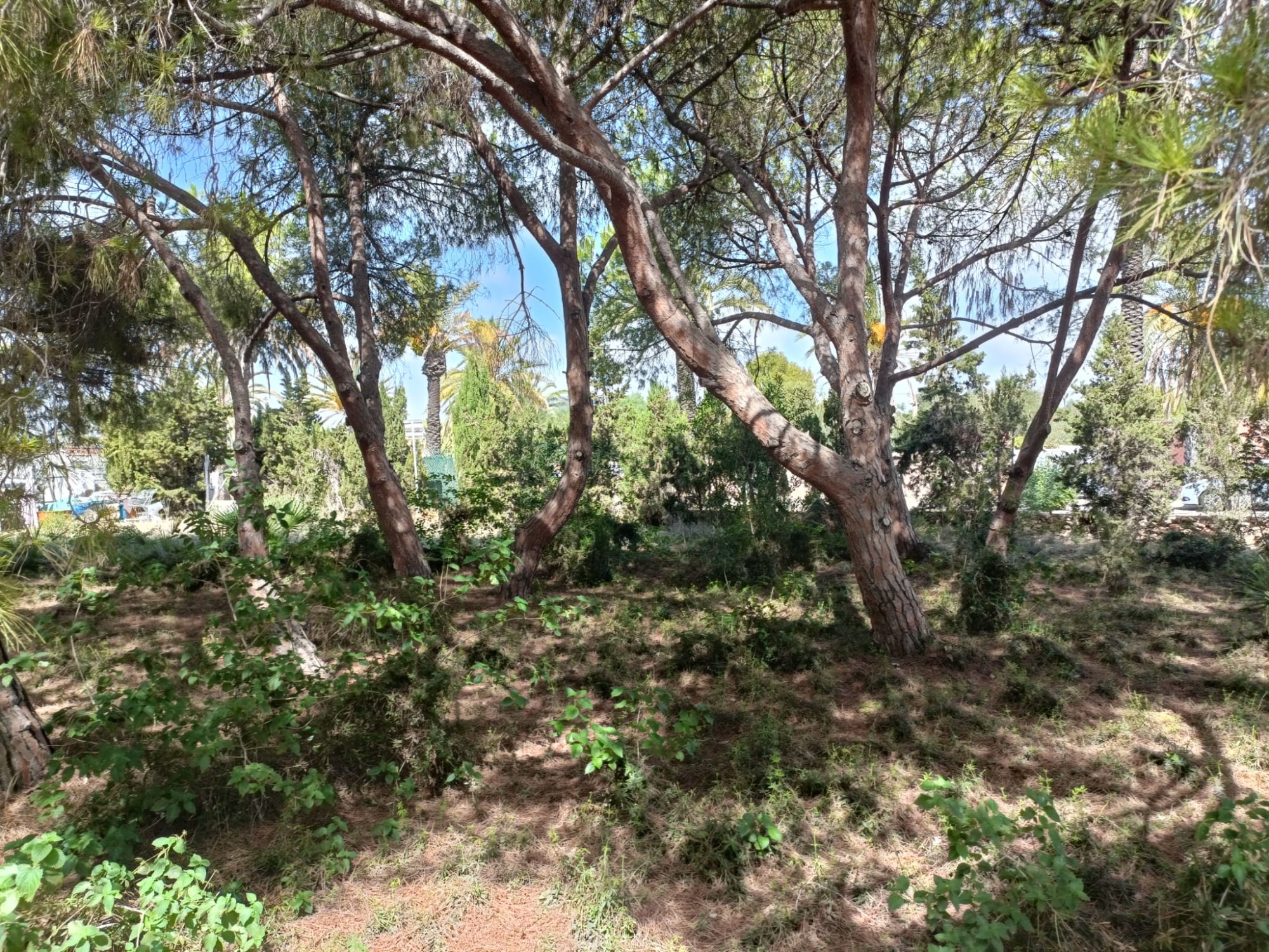 Finca for sale in Cabo Roig, Alicante, Spain