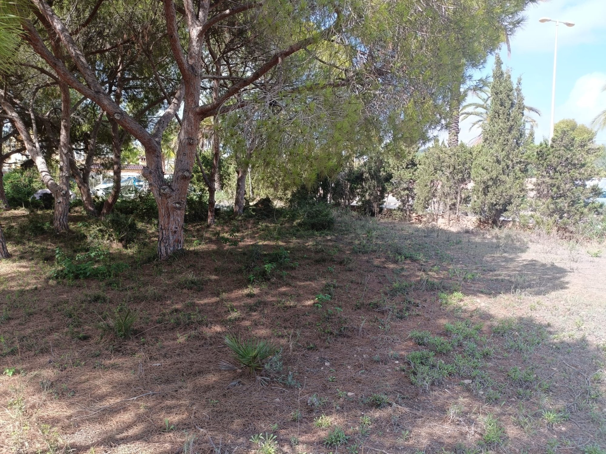 Finca for sale in Cabo Roig, Alicante, Spain
