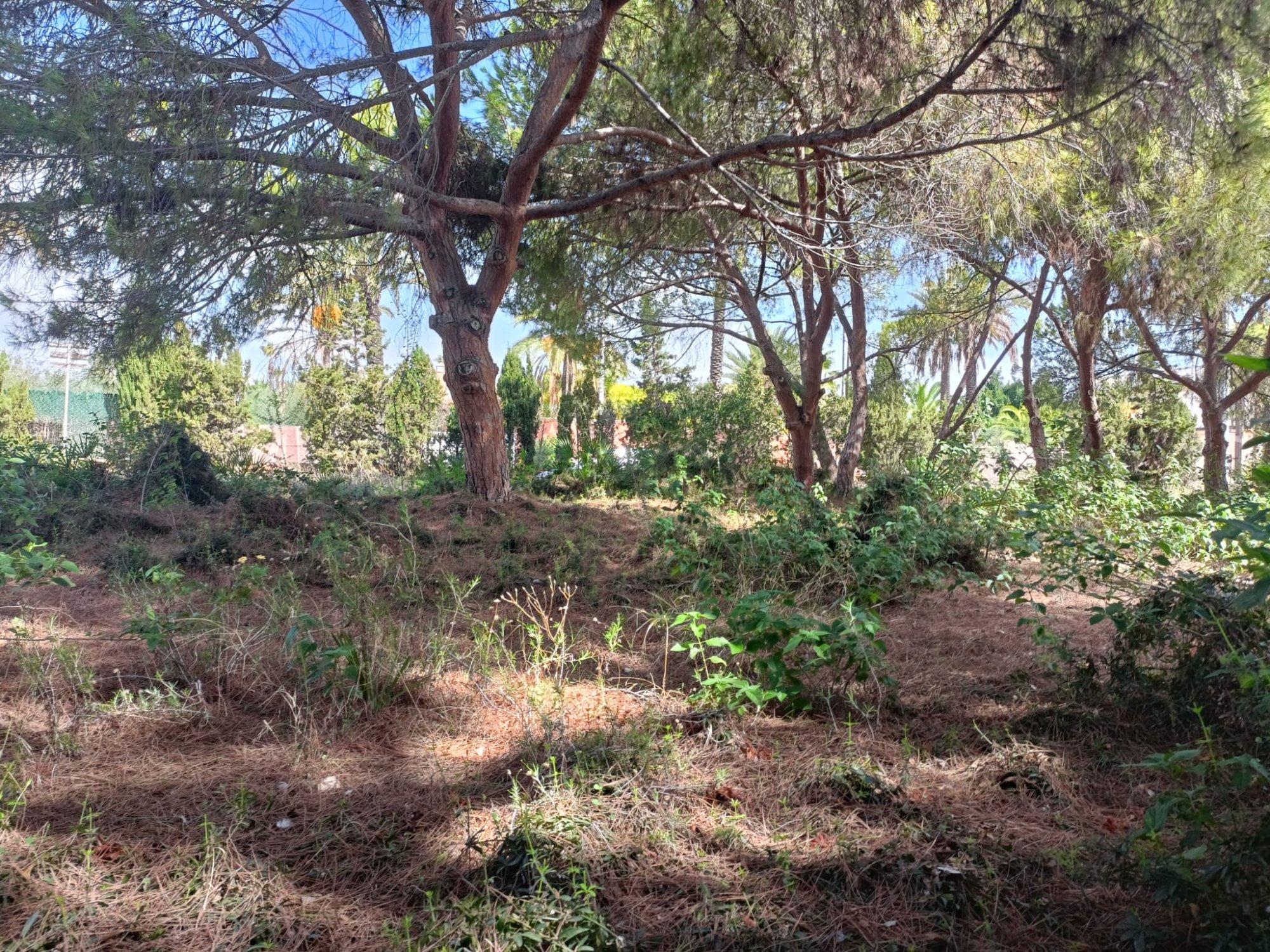 Finca for sale in Cabo Roig, Alicante, Spain
