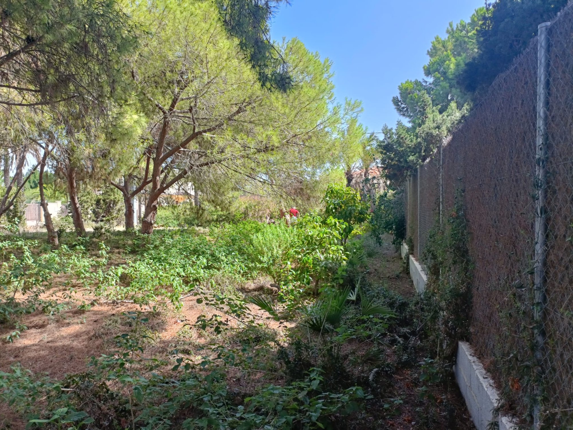 Finca for sale in Cabo Roig, Alicante, Spain