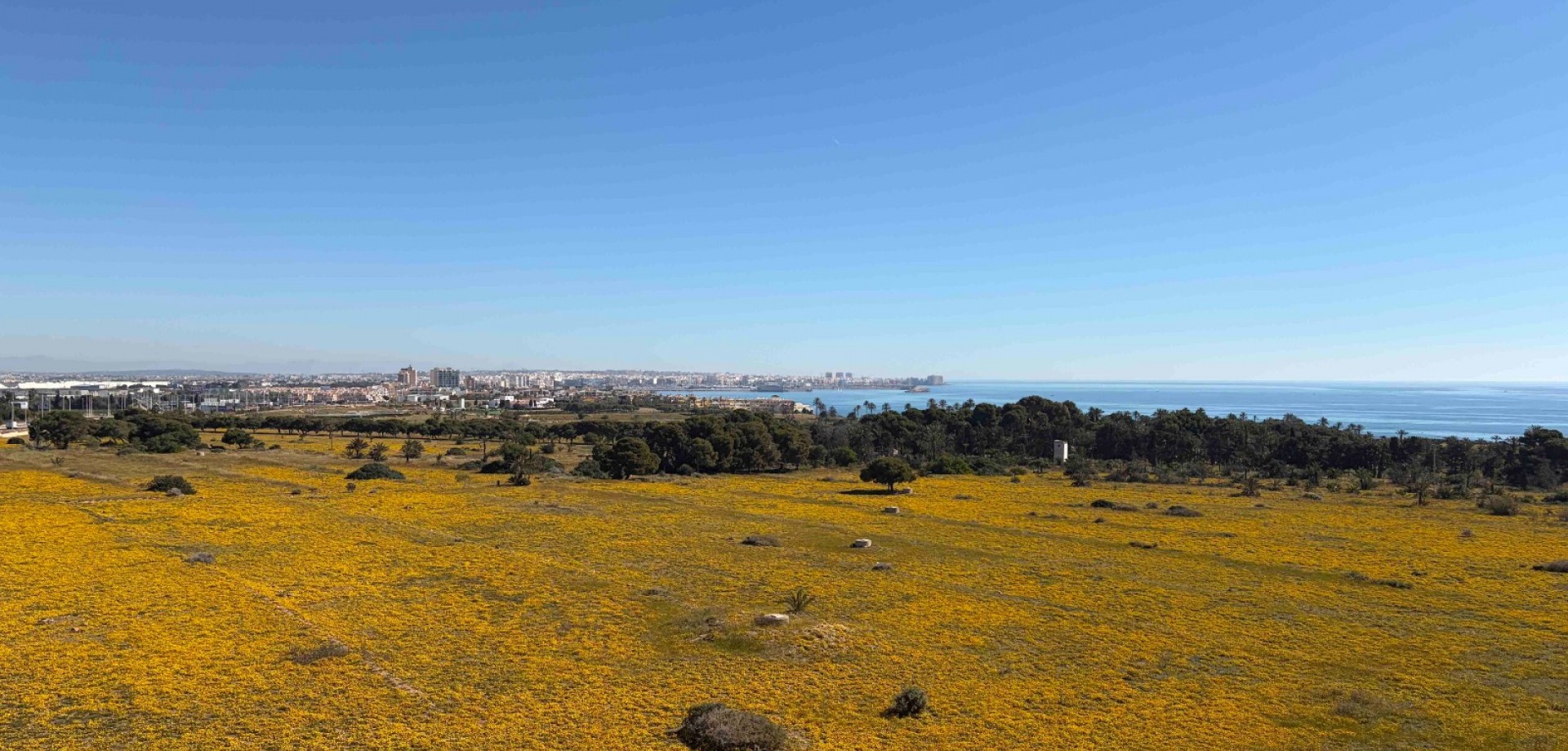 Piso en venta en Orihuela Costa