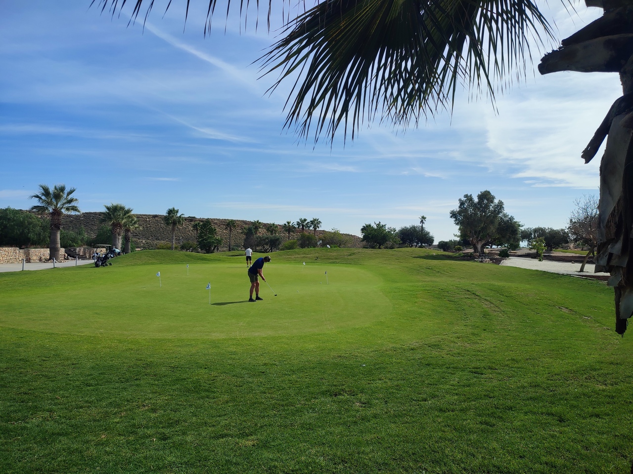 Piso en venta en Altaona Golf
