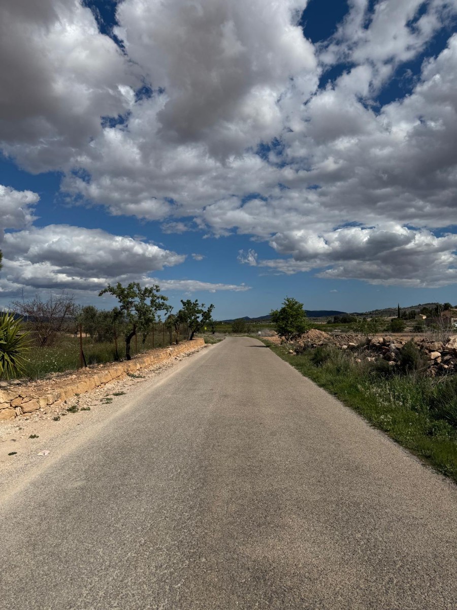 Finca for sale in Pinoso, Alicante, Spain