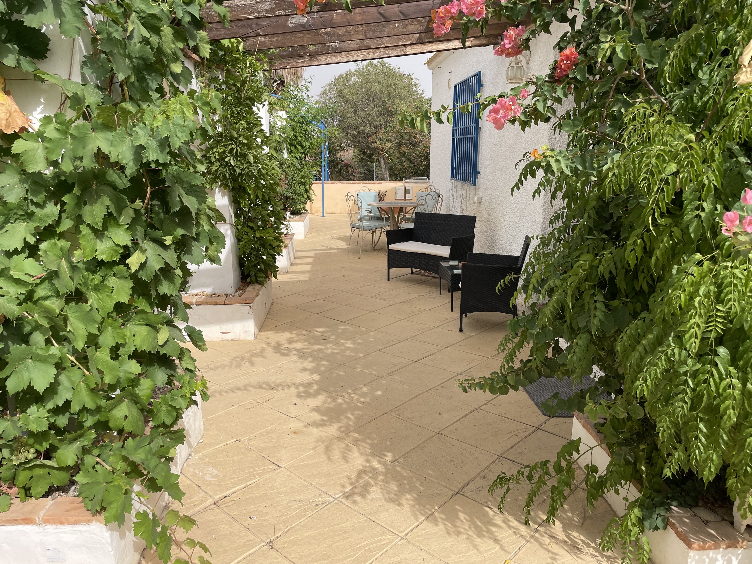 Finca en venta en Totana