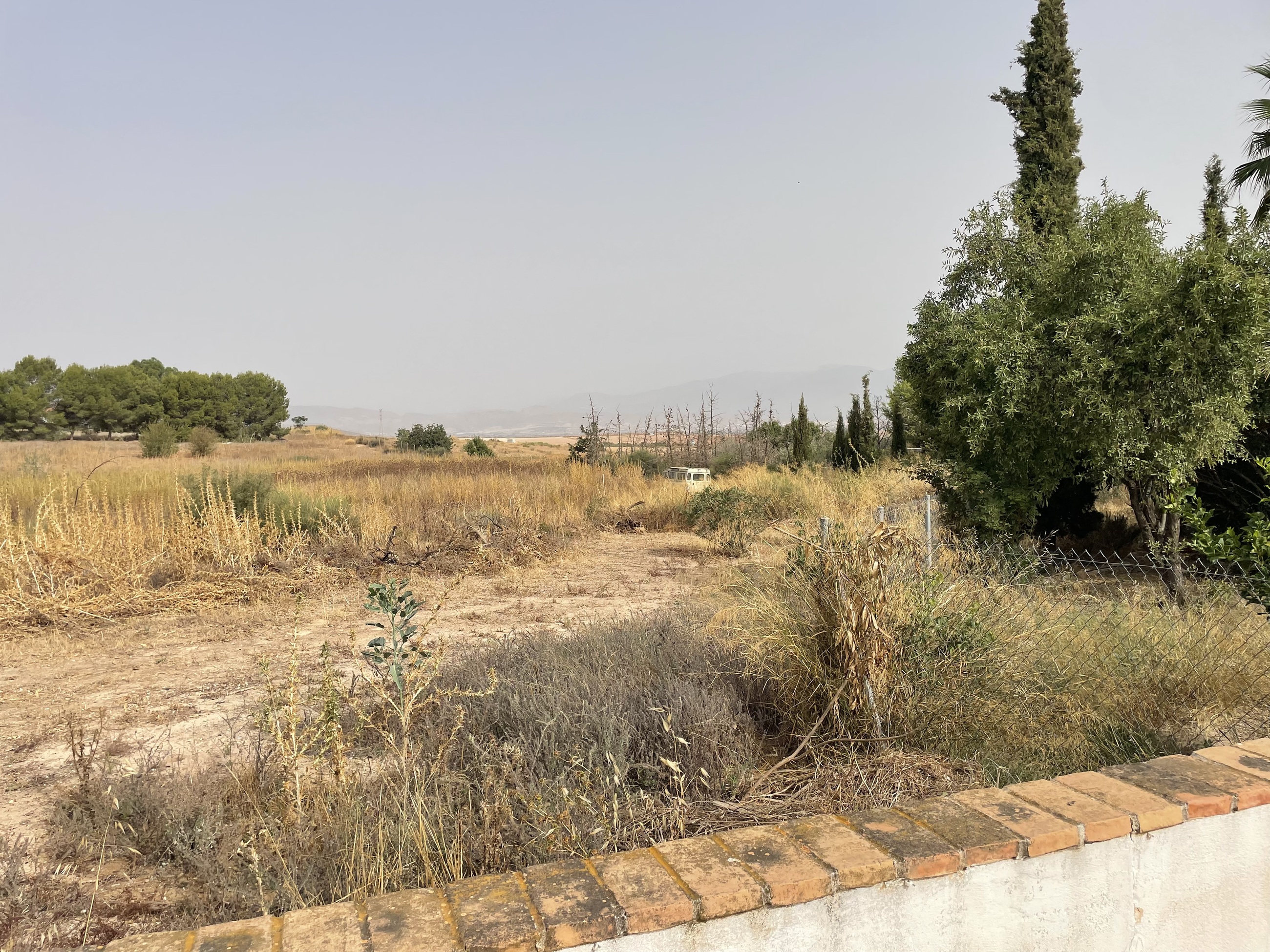 Finca en venta en Totana