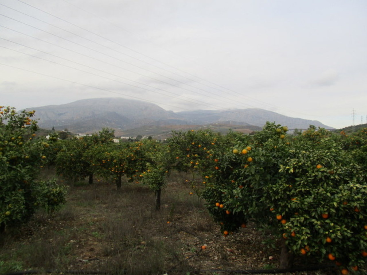 Country House for sale in Alora, Málaga, Spain