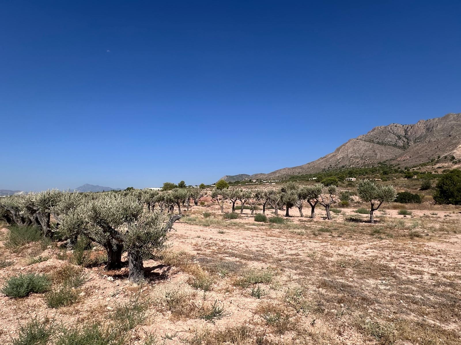 Finca for sale in Macisvenda, Murcia, Spain