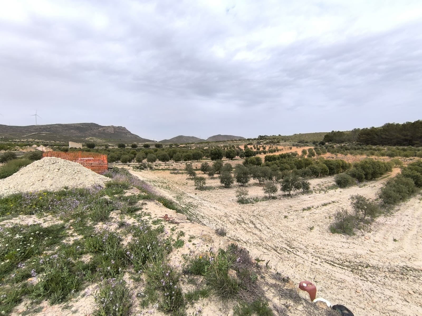 Finca for sale in Jumilla, Murcia, Spain
