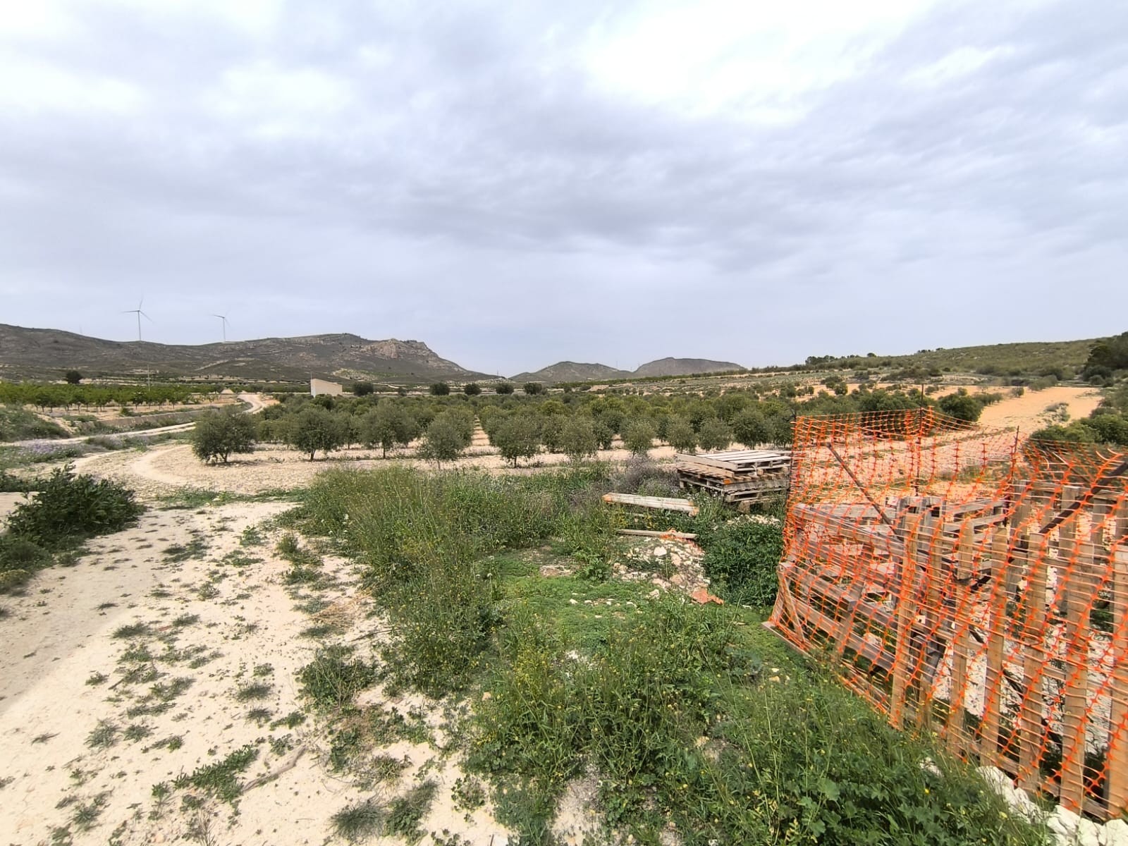Finca for sale in Jumilla, Murcia, Spain