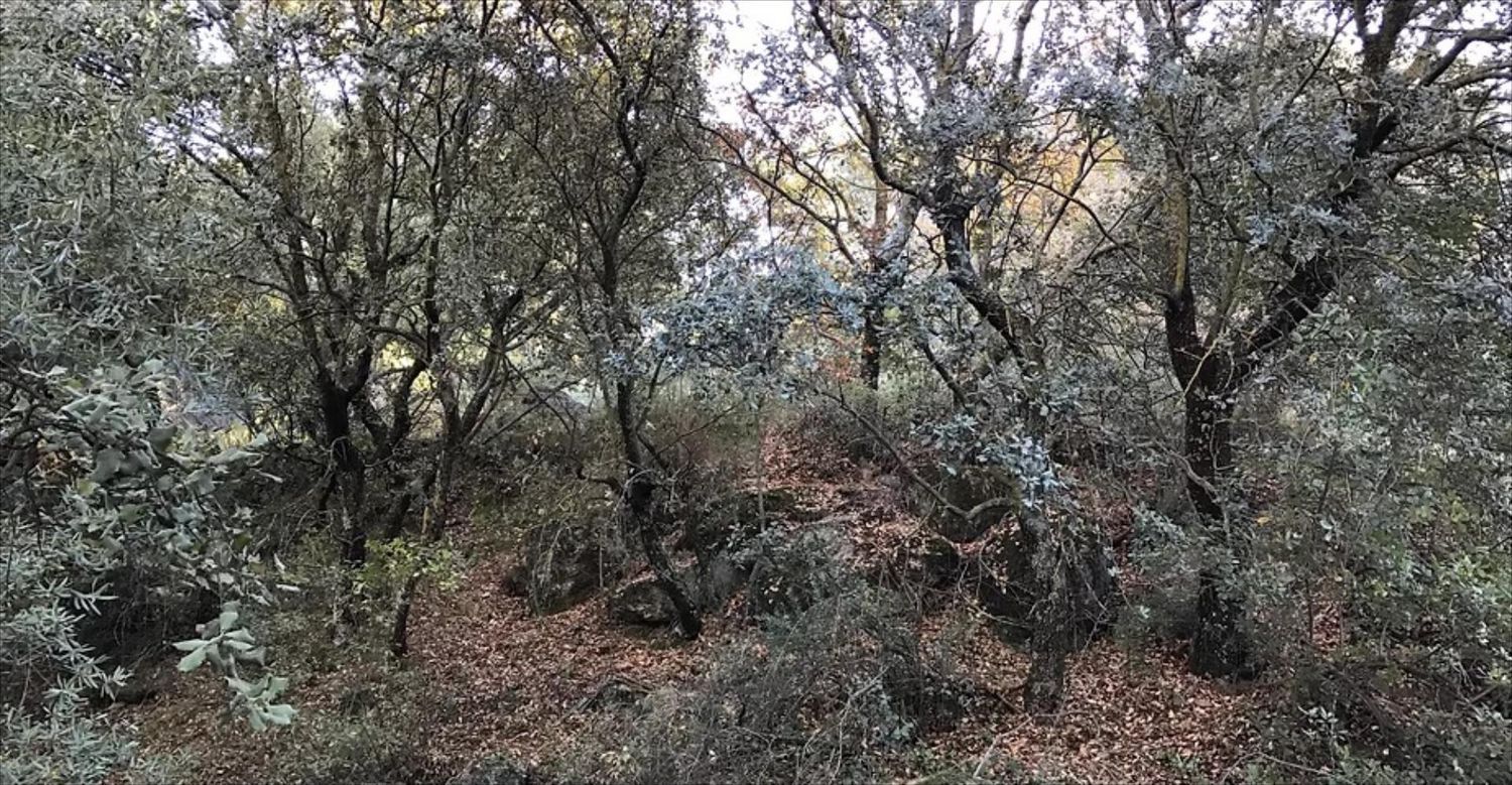 Finca for sale in Dudar, Granada, Spain