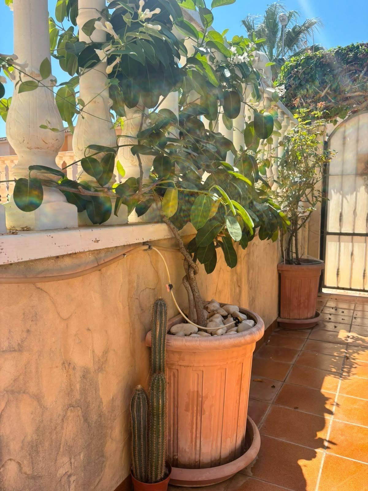 Villa for sale in Orihuela Costa, Alicante, Spain
