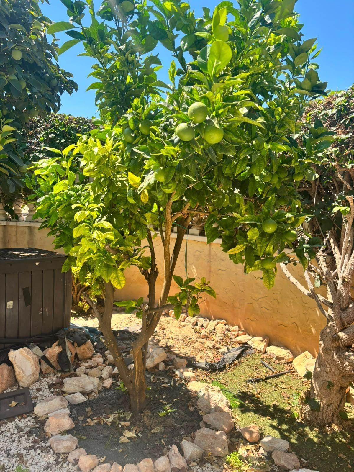 Villa for sale in Orihuela Costa, Alicante, Spain