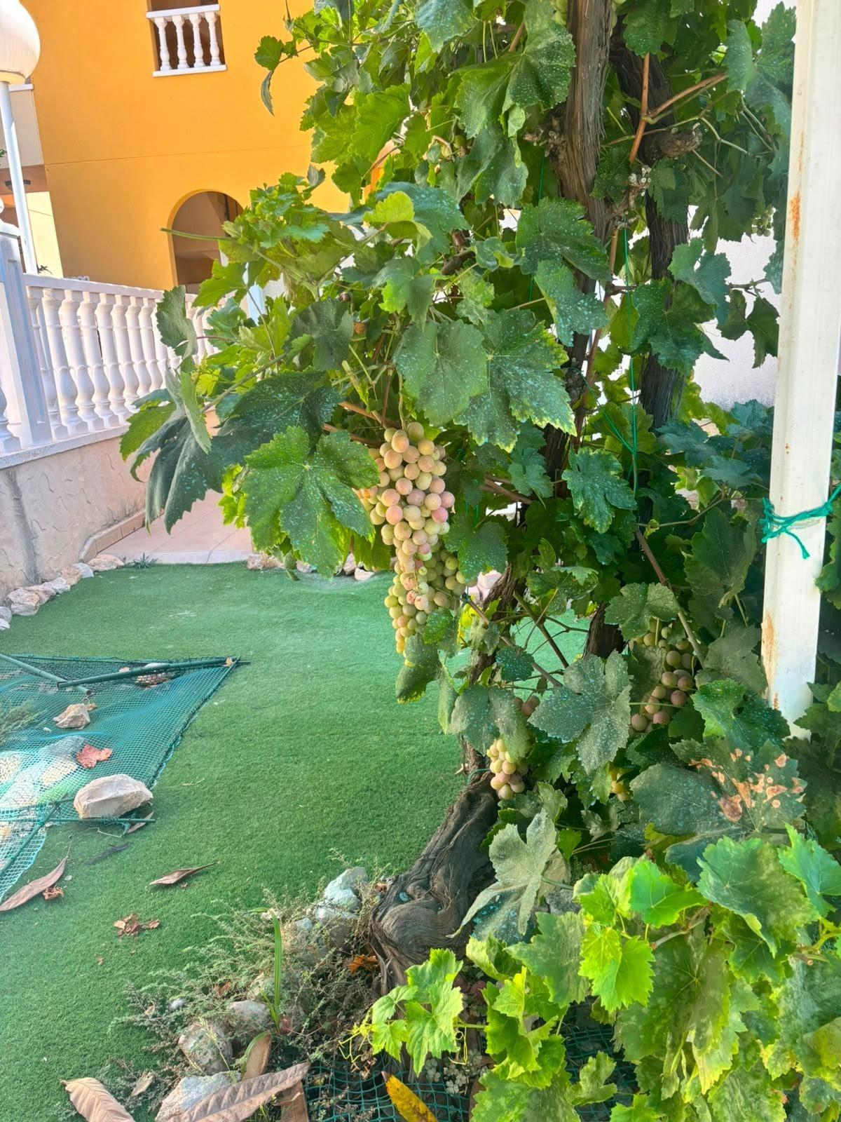 Villa for sale in Orihuela Costa, Alicante, Spain