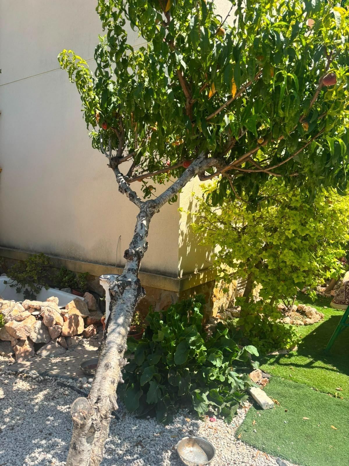 Villa for sale in Orihuela Costa, Alicante, Spain