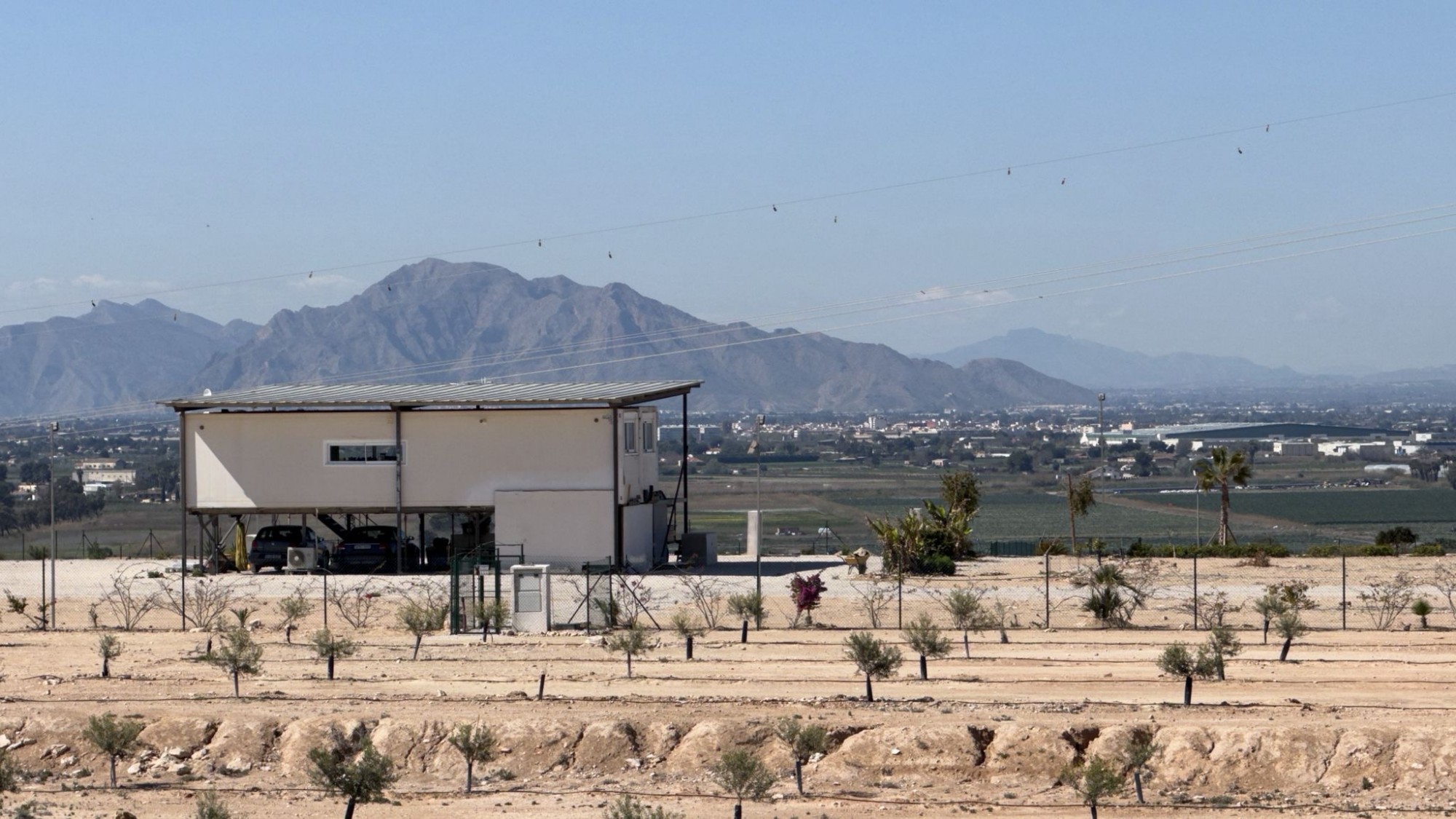 Finca for sale in San Fulgencio, Alicante, Spain