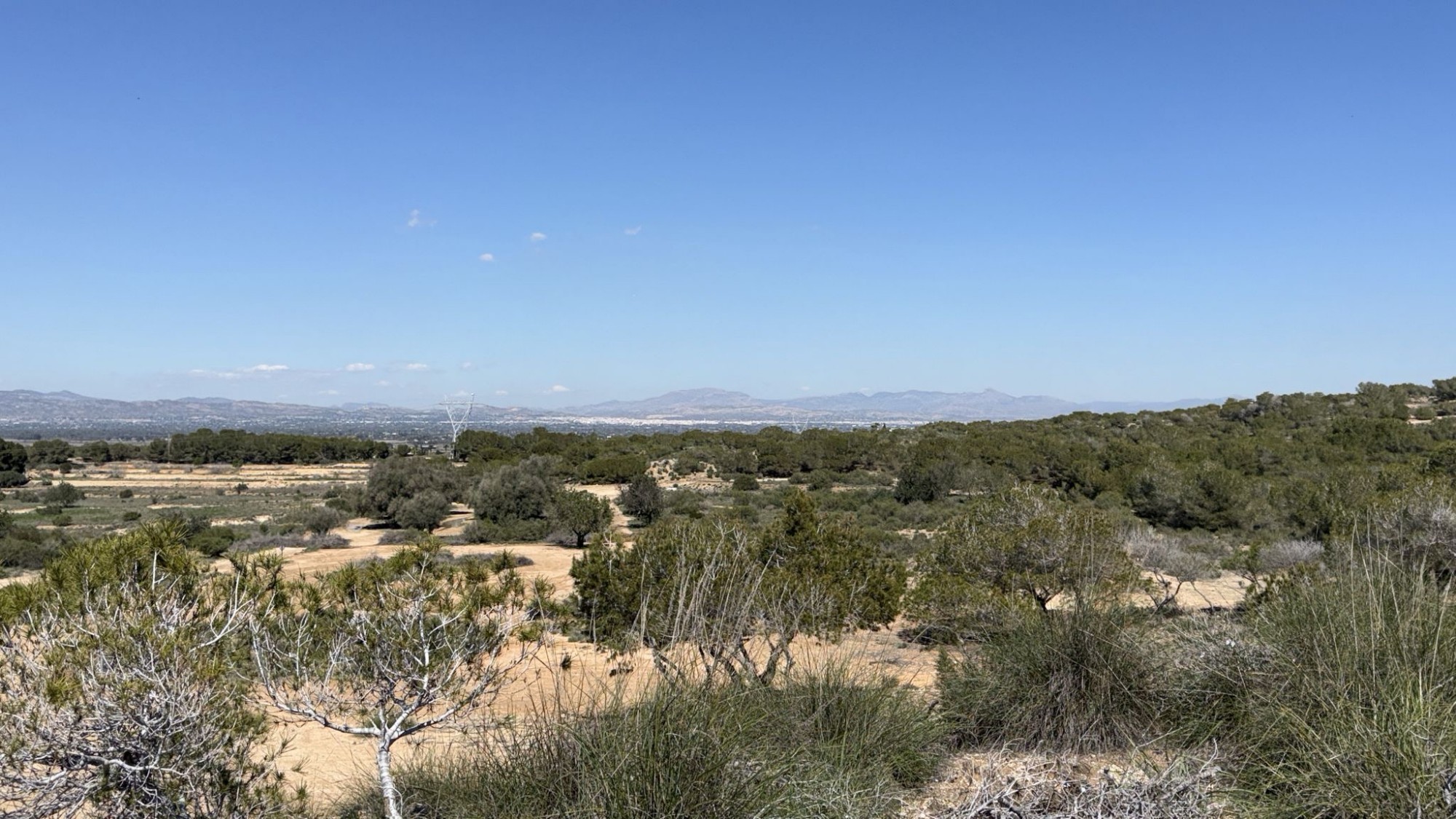 Finca for sale in San Fulgencio, Alicante, Spain