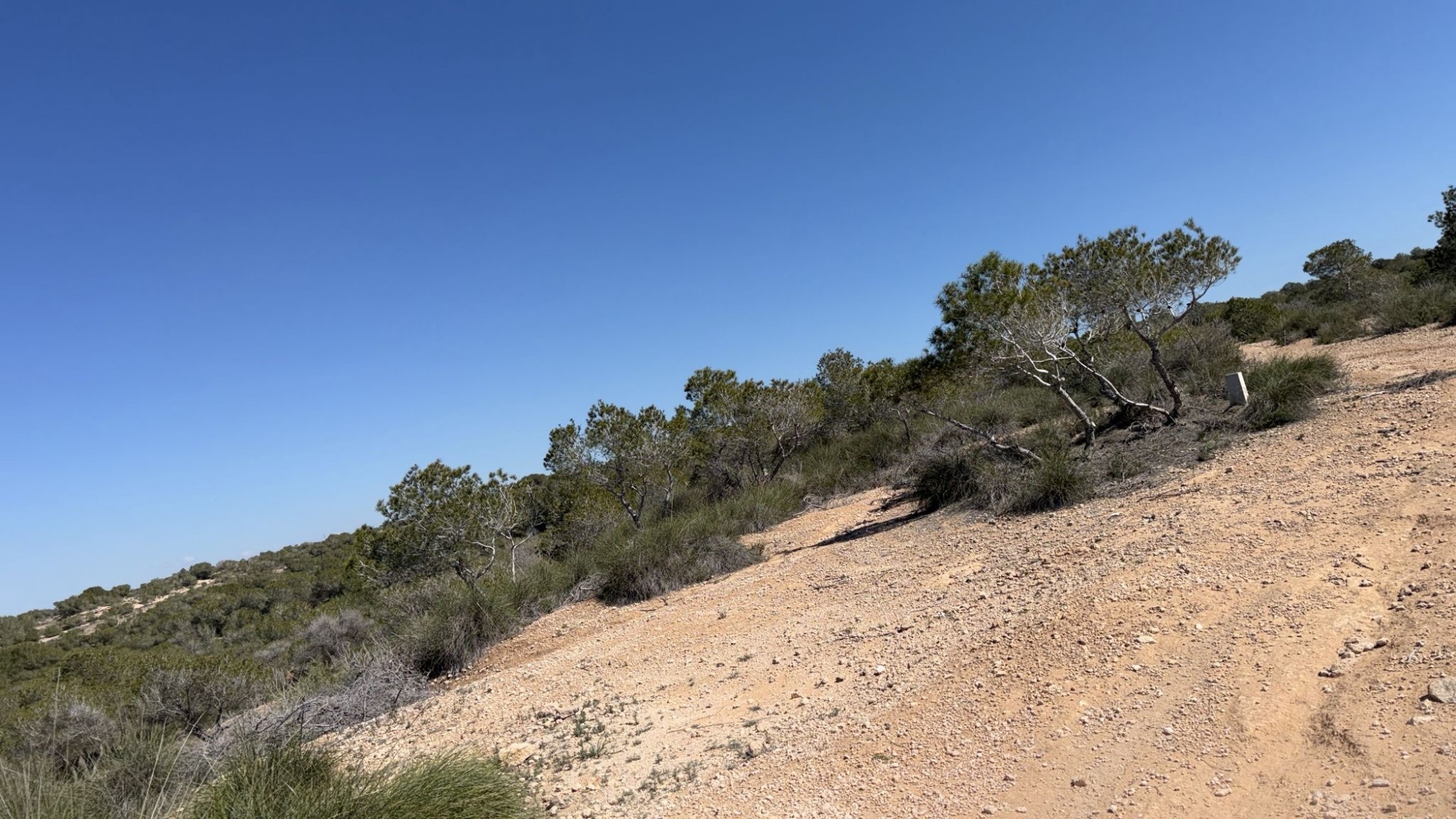 Finca for sale in San Fulgencio, Alicante, Spain