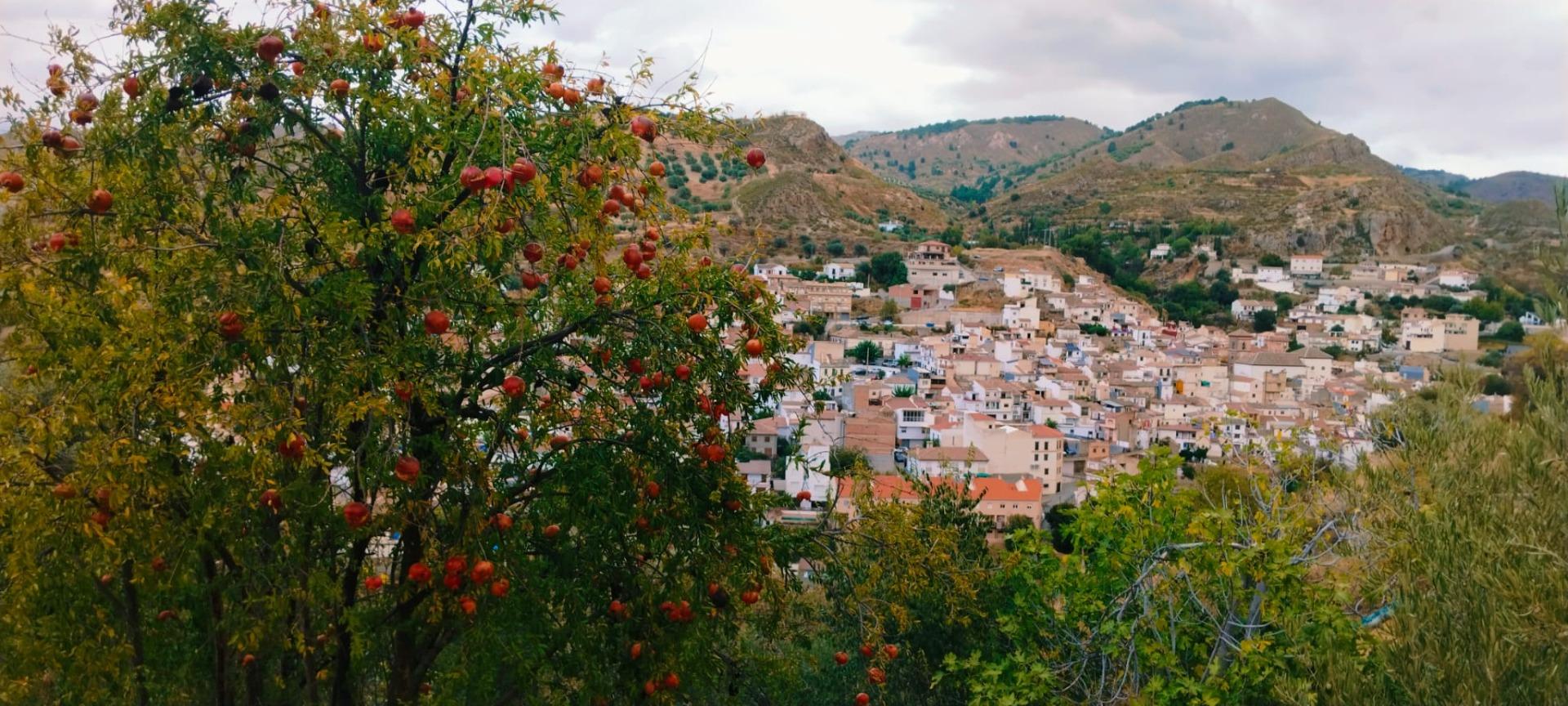 Finca for sale in Quentar, Granada, Spain