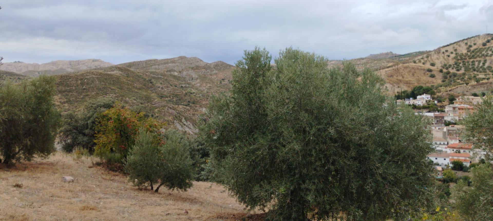 Finca for sale in Quentar, Granada, Spain