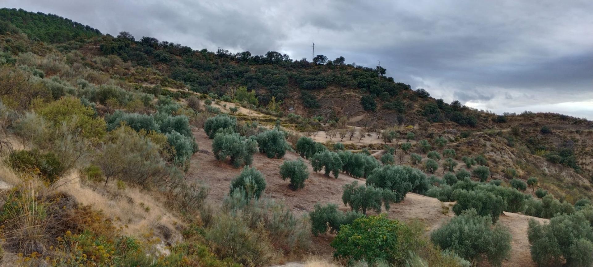 Finca for sale in Quentar, Granada, Spain