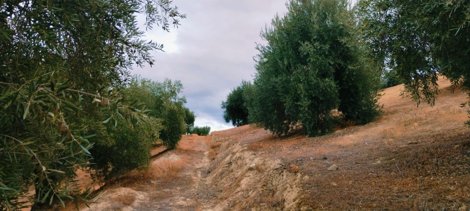 Finca for sale in Quentar, Granada, Spain