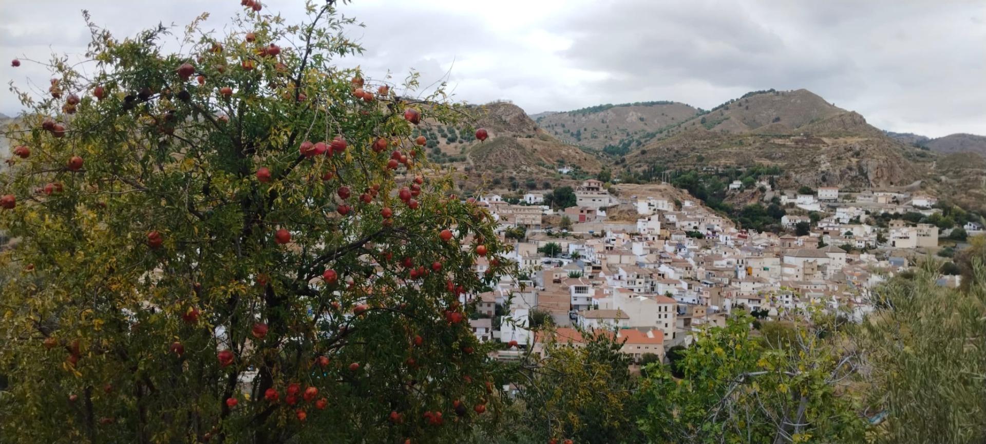 Finca for sale in Quentar, Granada, Spain