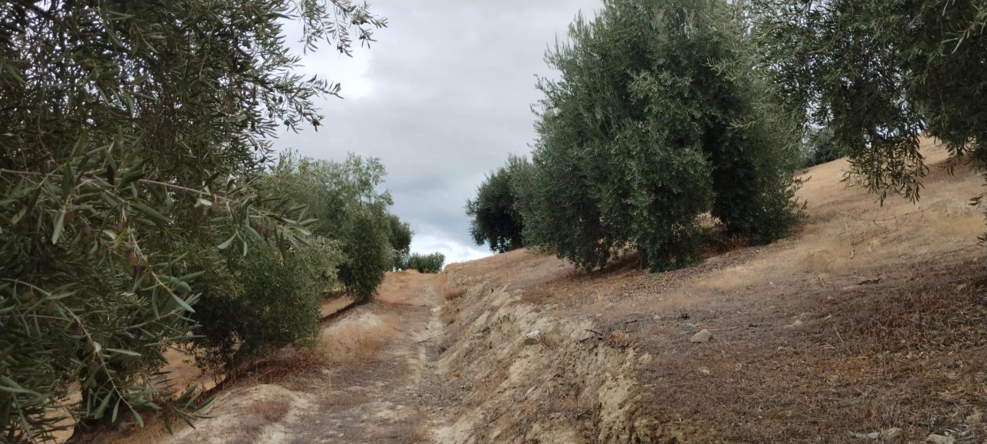 Finca for sale in Quentar, Granada, Spain