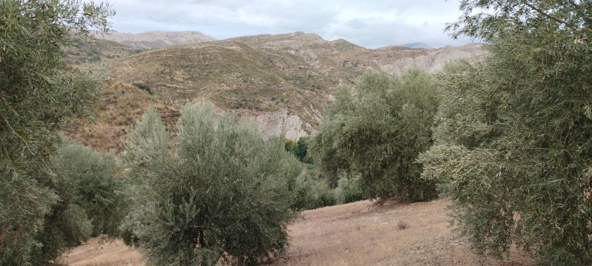 Finca for sale in Quentar, Granada, Spain