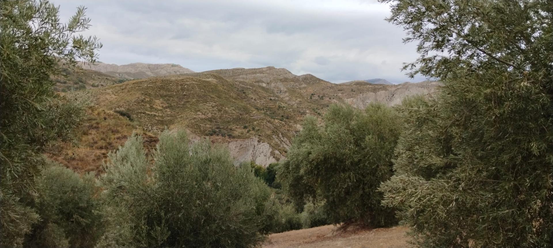 Finca for sale in Quentar, Granada, Spain