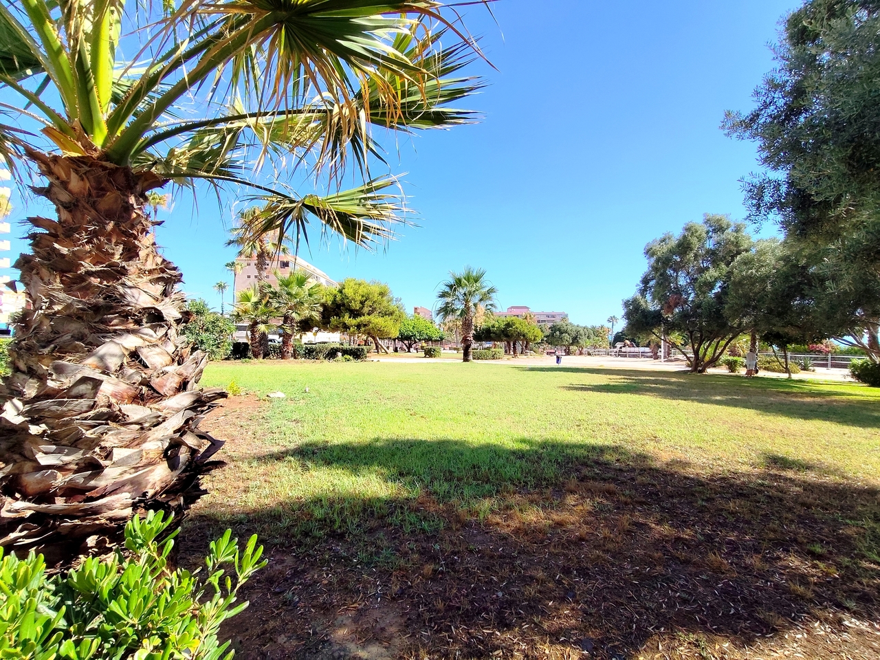 Apartment for sale in La Mata, Alicante, Spain