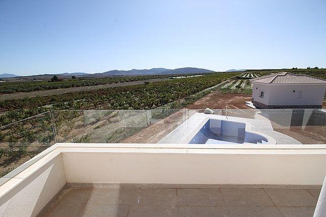 Villa for sale in Pinoso, Alicante, Spain
