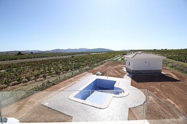 Villa for sale in Pinoso, Alicante, Spain