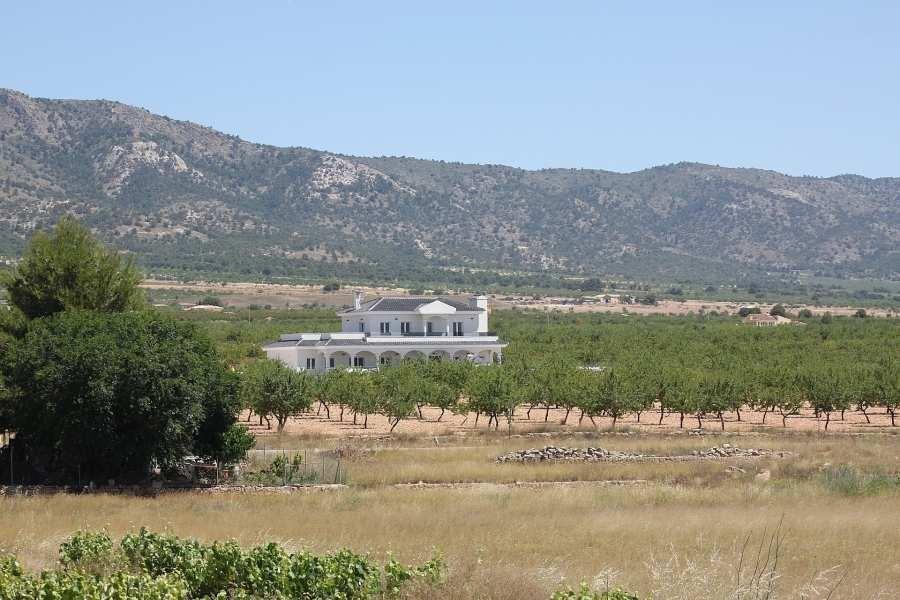 Villa for sale in Pinoso, Alicante, Spain