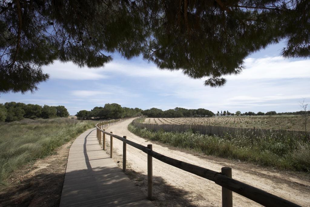 Bungalow for sale in Torrevieja, Alicante, Spain