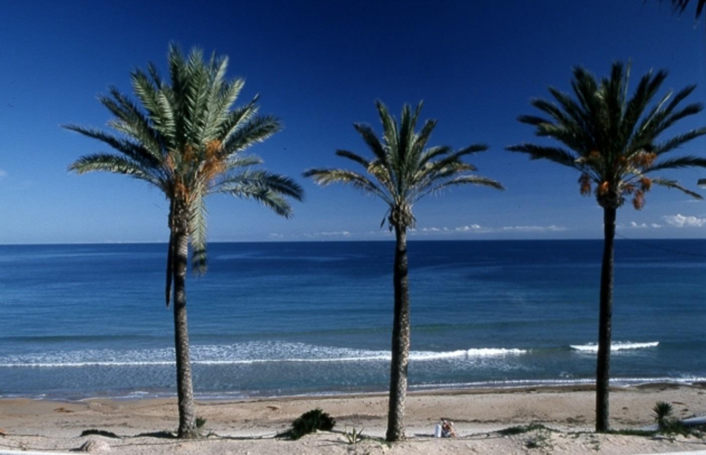 Bungalow for sale in Pilar De La Horadada, Alicante, Spain
