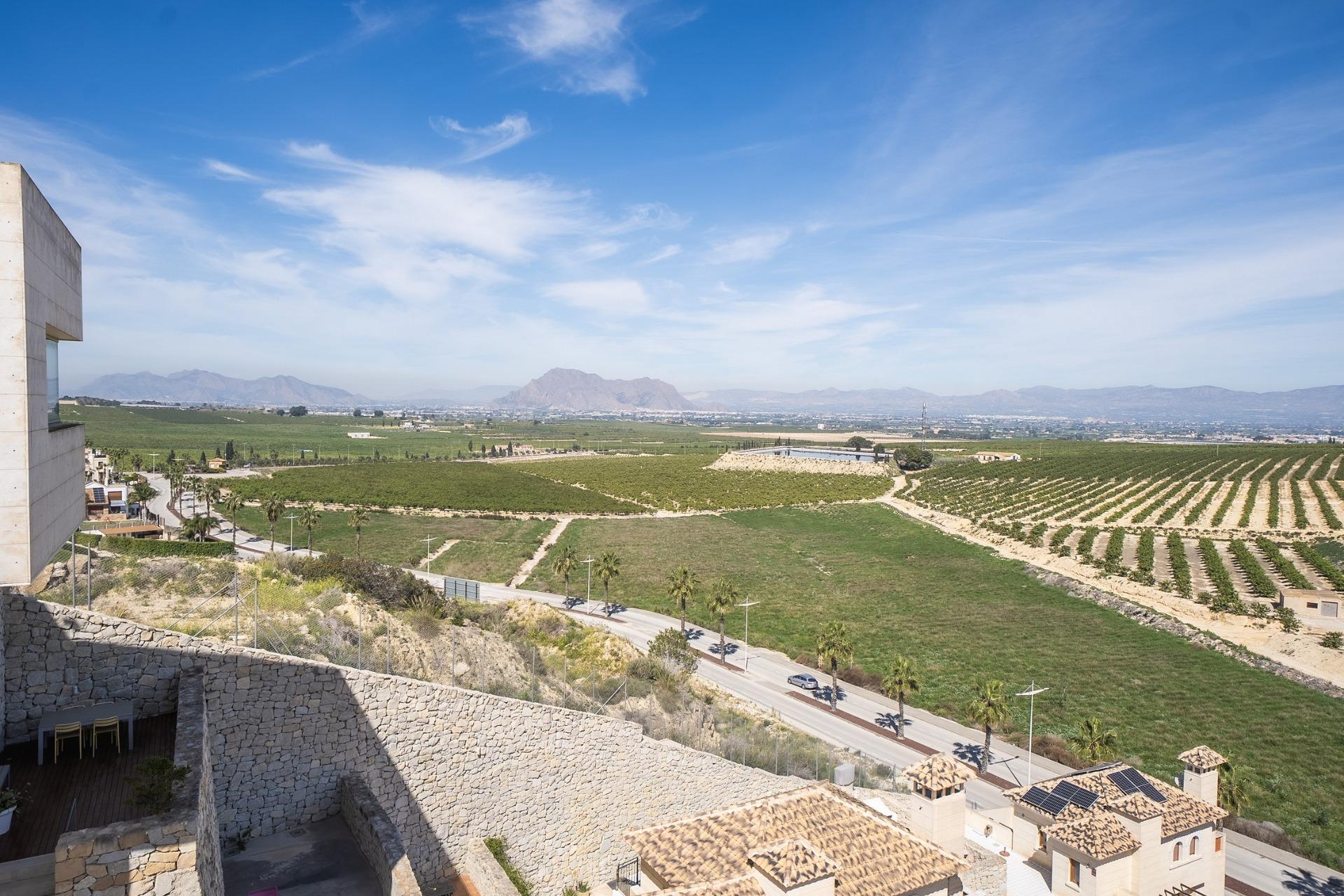 Villa for sale in Algorfa, Alicante, Spain