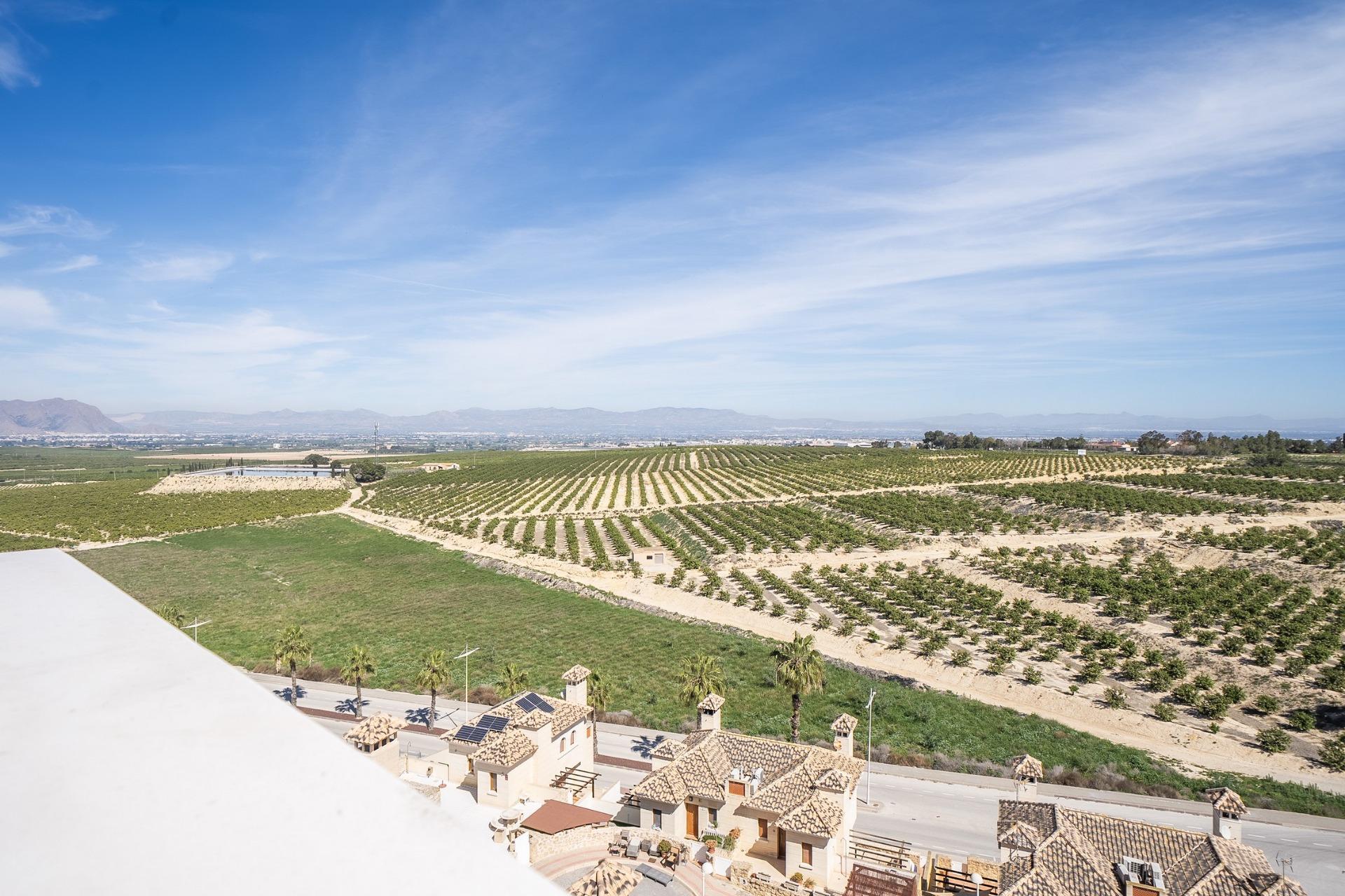 Villa for sale in Algorfa, Alicante, Spain