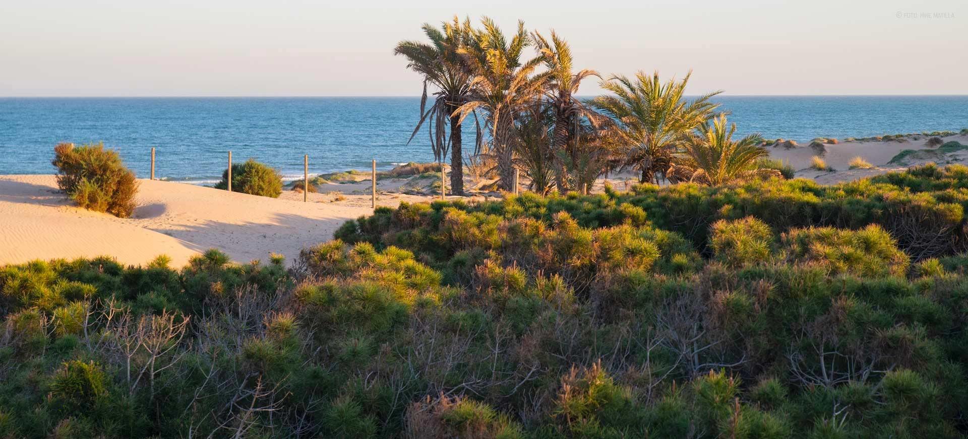 Penthouse for sale in Guardamar Del Segura, Alicante, Spain
