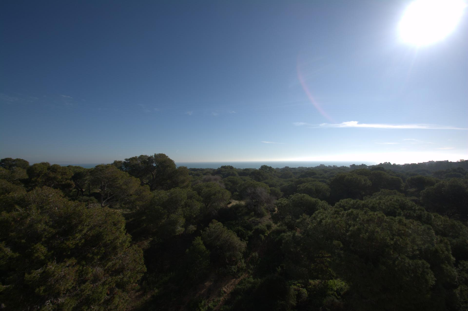 Apartment for sale in Guardamar Del Segura, Alicante, Spain