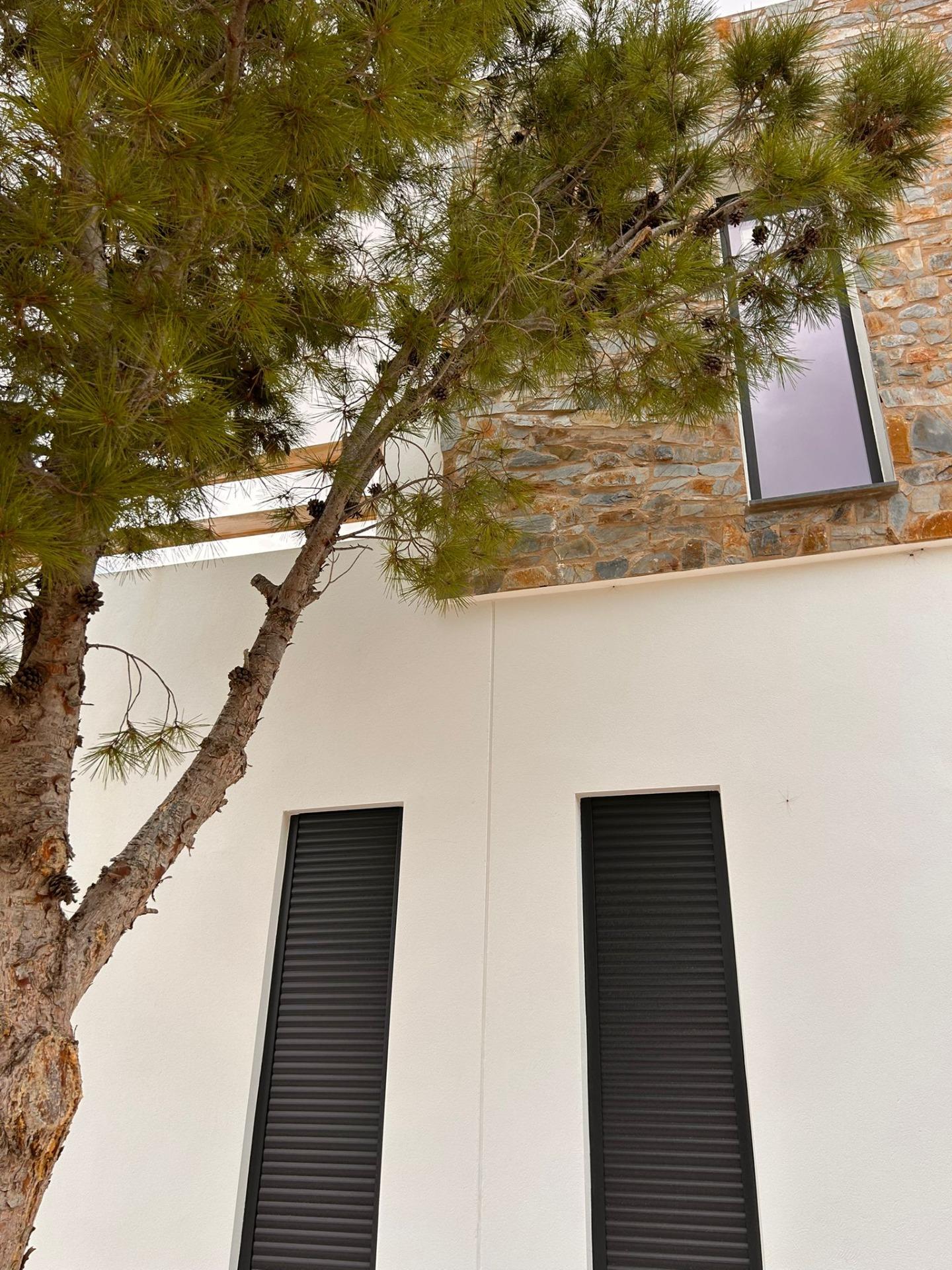 Villa for sale in Pinoso, Alicante, Spain