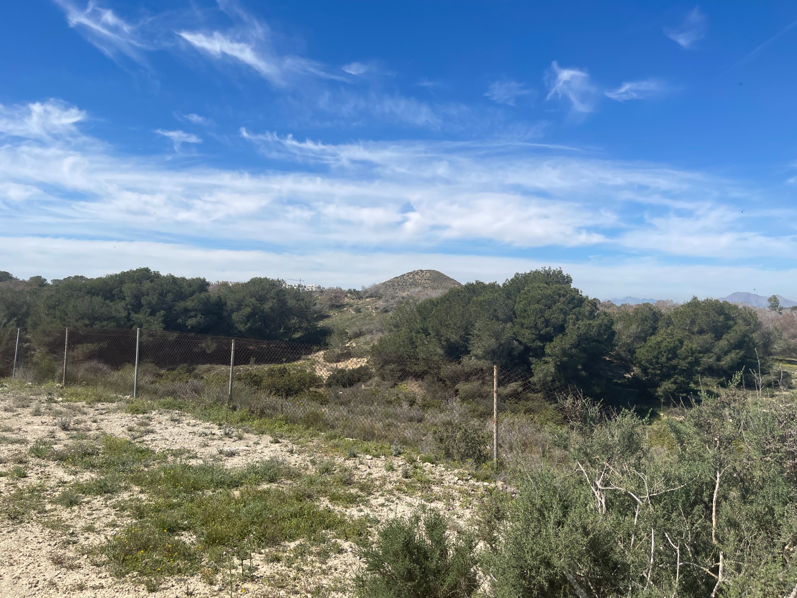 Villa for sale in Guardamar Del Segura, Alicante, Spain