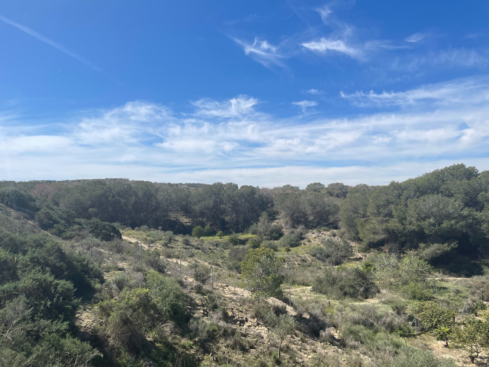 Villa for sale in Guardamar Del Segura, Alicante, Spain