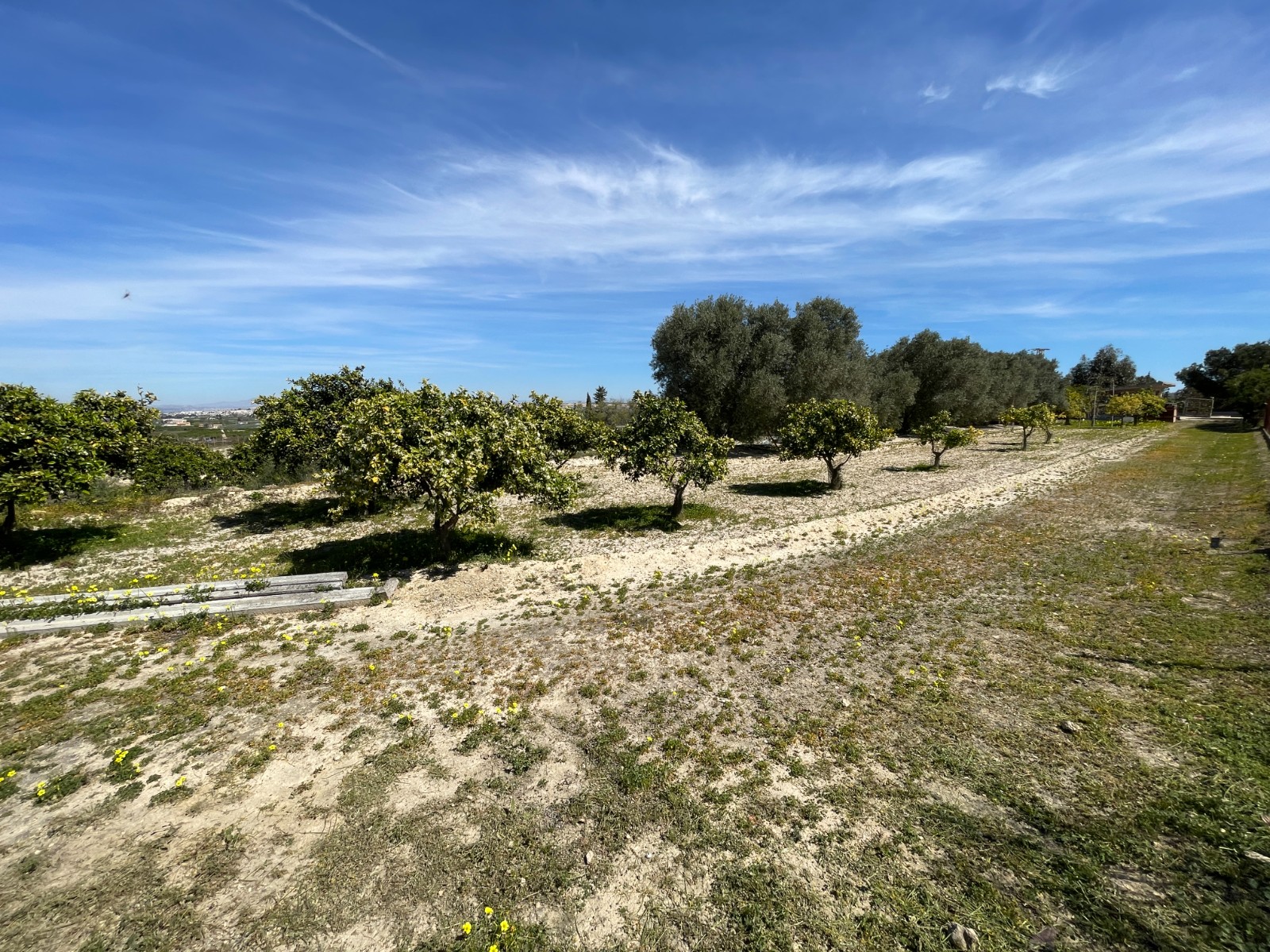 Villa for sale in Guardamar Del Segura, Alicante, Spain