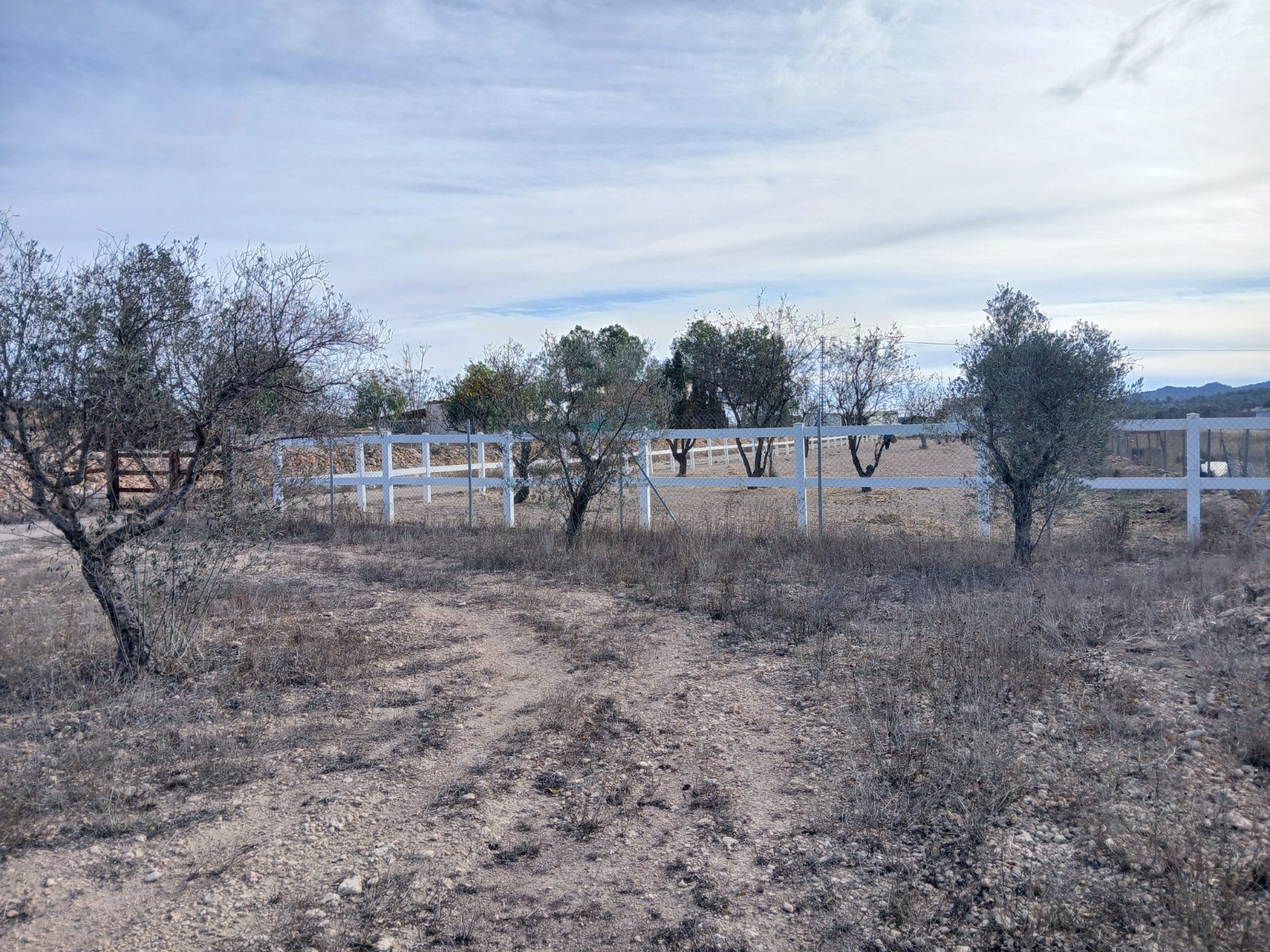 Finca for sale in Monóvarmonóver, Alicante, Spain