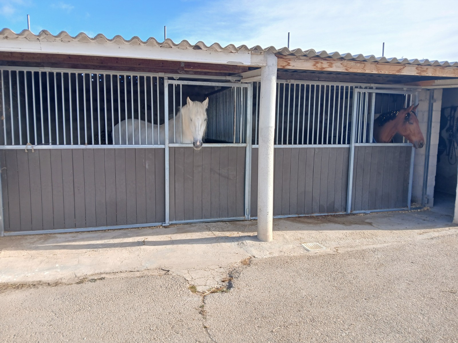 Finca for sale in Monóvarmonóver, Alicante, Spain