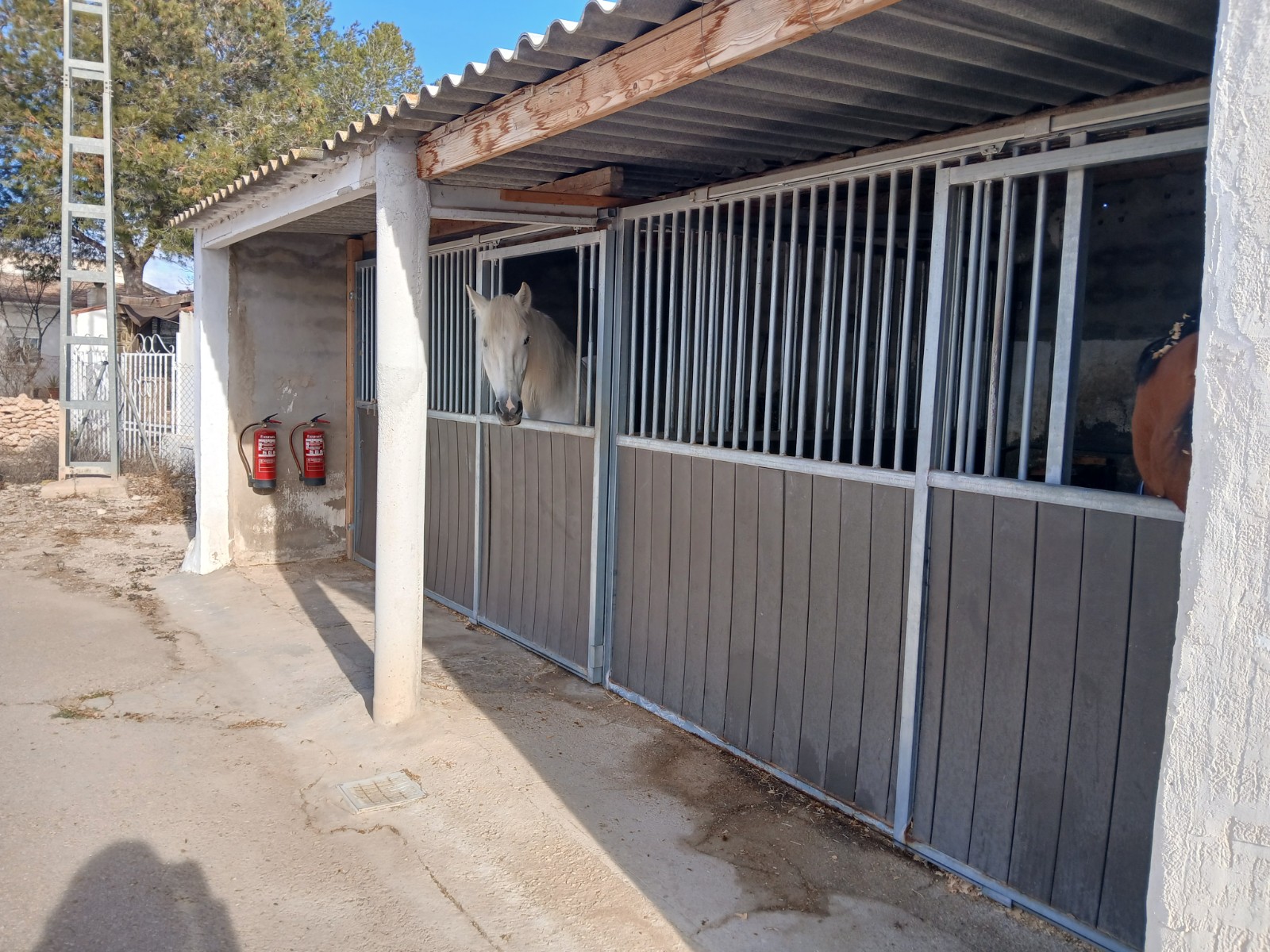 Finca for sale in Monóvarmonóver, Alicante, Spain